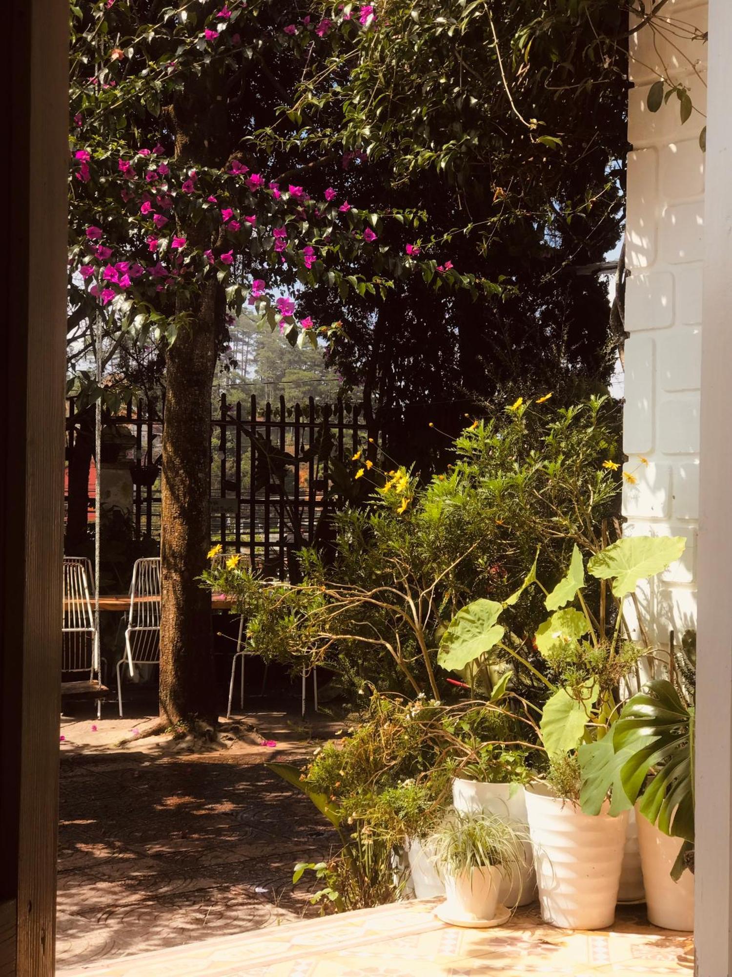 Hat De Homestay Dalat Exteriör bild